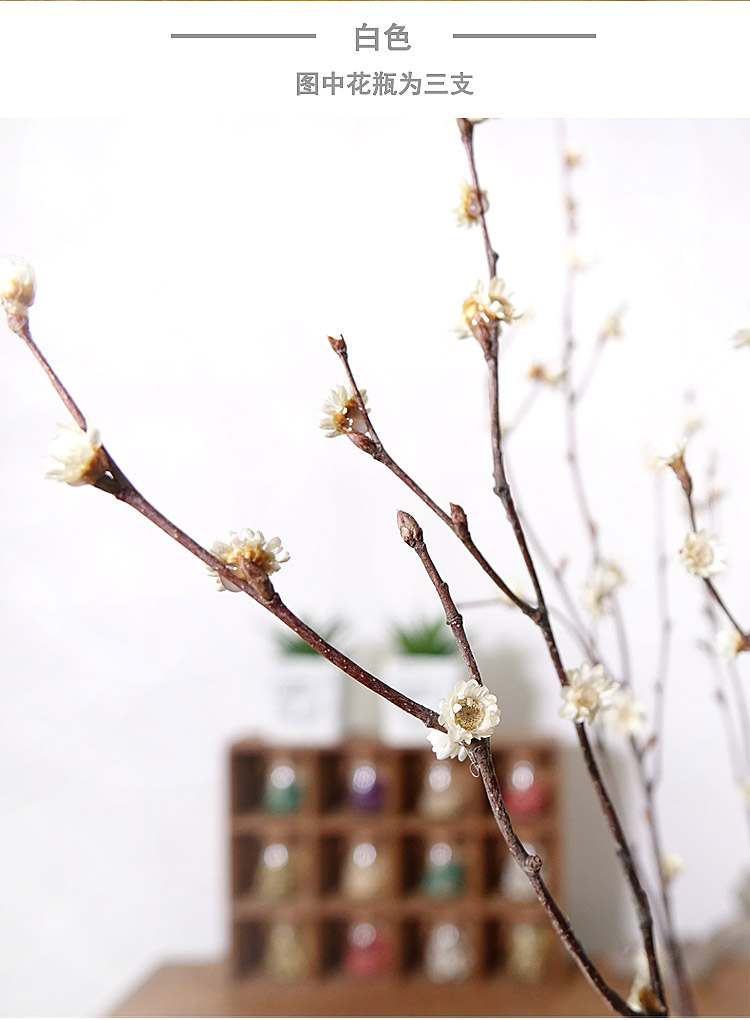 干支梅花真花插花瓶假梅花干花枝干枝装饰小枯树枝干花森系禅意