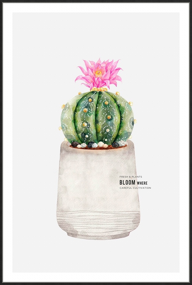 全艺映画水彩图案装饰画 多肉植物北欧小清新风格 客厅餐厅挂画