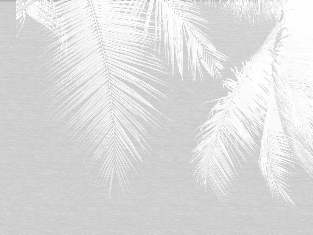 欧雅壁纸 北欧现代简约ins风立体羽毛 客厅电视背景墙定制壁画-墙纸