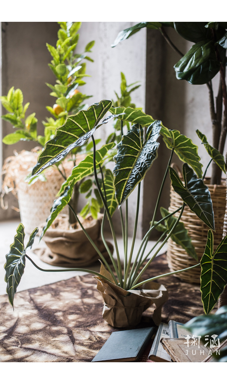 juhan home 北欧风仿真植物春羽竹观音莲盆栽清新文艺装饰绿植