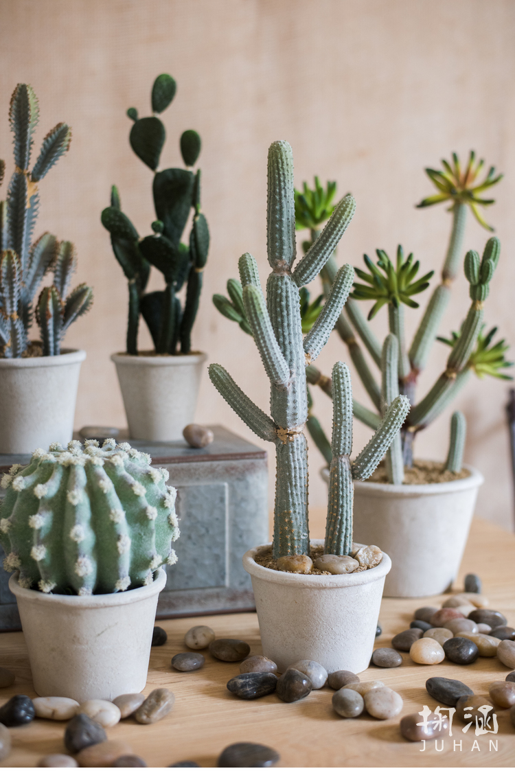 掬涵家居 juhan home 北欧风仿真仙人掌盆景盆栽 装饰摆件仙人柱