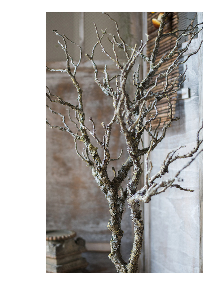 掬涵家居 juhan home 新中式禅意枯树仿真植物大型艺术装饰造景橱窗