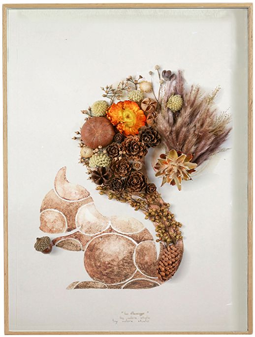 种籽造物 北欧一朵植物手作松鼠永生花干花标本干花画装置画