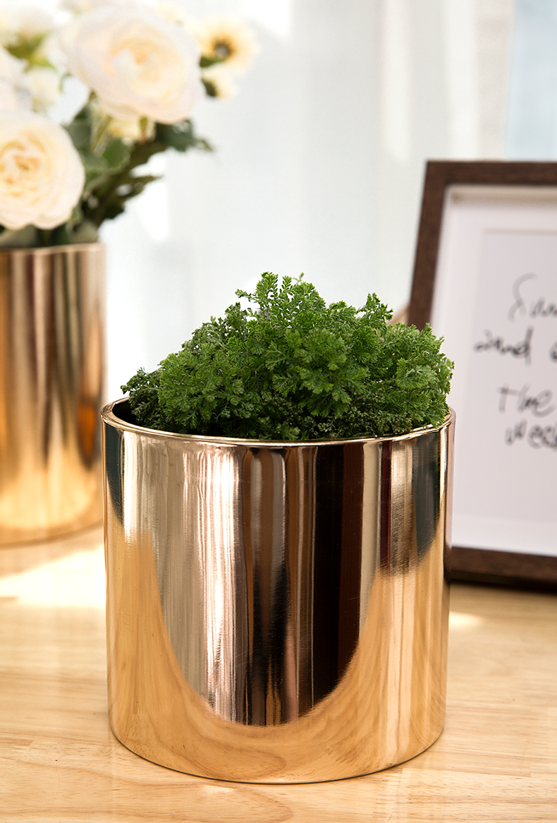 差不多先生 北欧金色金属花盆绿植多肉盆金色永生花花器