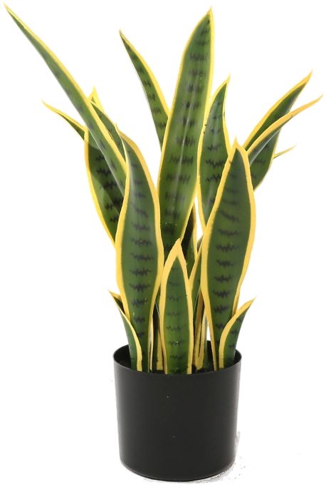 大艾 北欧绿植仿真装饰虎皮兰假盆栽植物大型客厅办公室内落地绿植