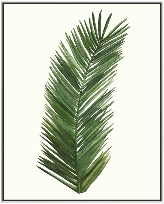 画作玄关植物花卉叶子装饰画