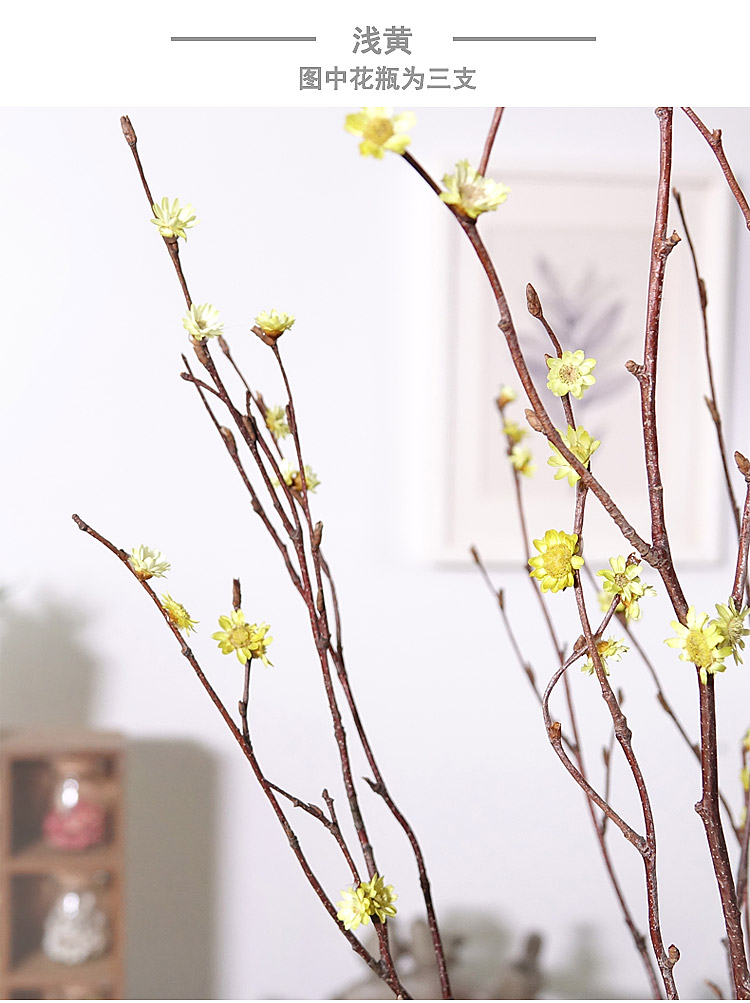 干支梅花真花插花瓶假梅花干花枝干枝装饰小枯树枝干花森系禅意