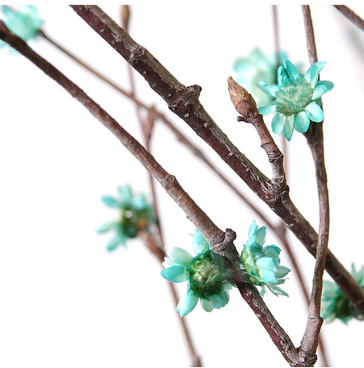 干支梅花真花插花瓶假梅花干花枝干枝装饰小枯树枝干花森系禅意