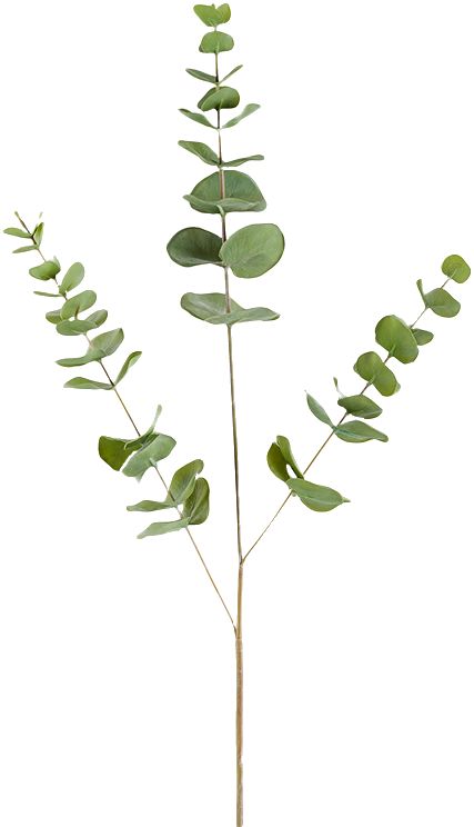 大栗家 北欧仿真树叶绿植叶子装饰 ins风客厅插花 小清新植物摆件