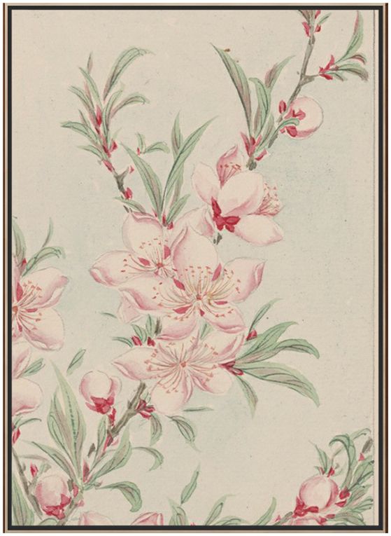 画作餐厅风水梅手绘速写