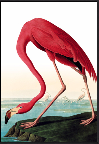 玄关装饰画餐厅装饰画现代简约火烈鸟装饰画竖版卧室客厅装饰画