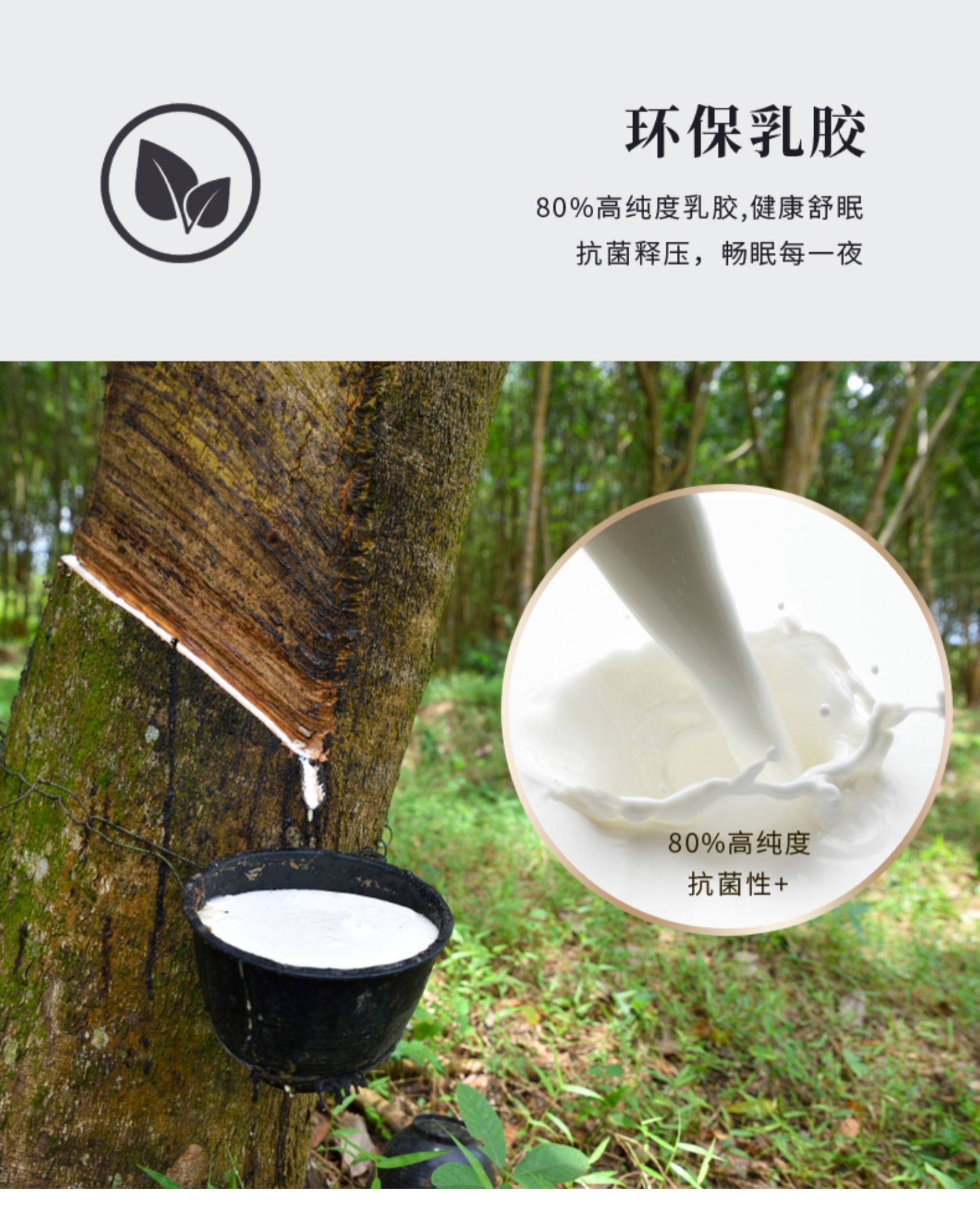 掌上明珠 现代乳胶天然乳胶睡床垫