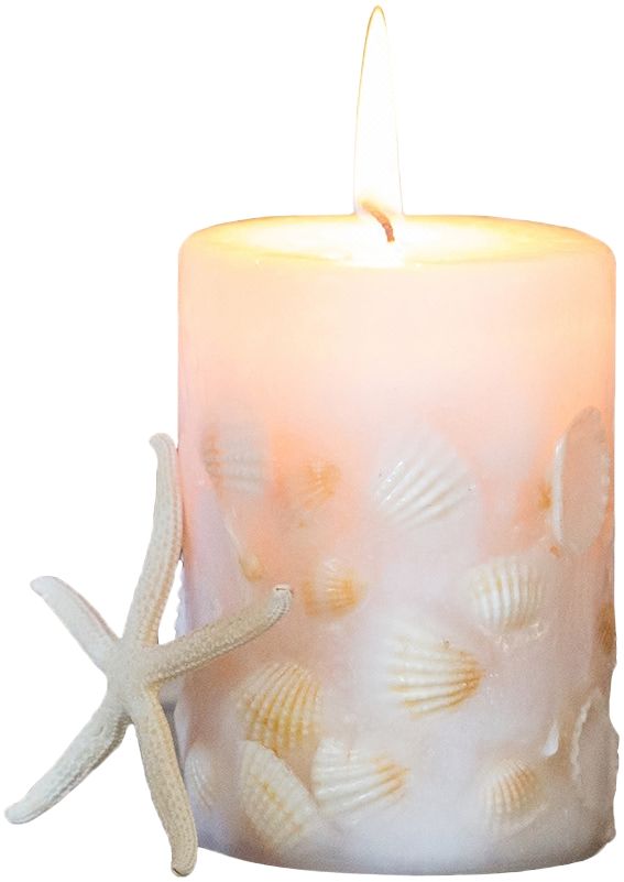 掬涵家居 现代贝壳柱形圆柱海洋香薰工艺无烟优质浪漫婚庆蜡烛